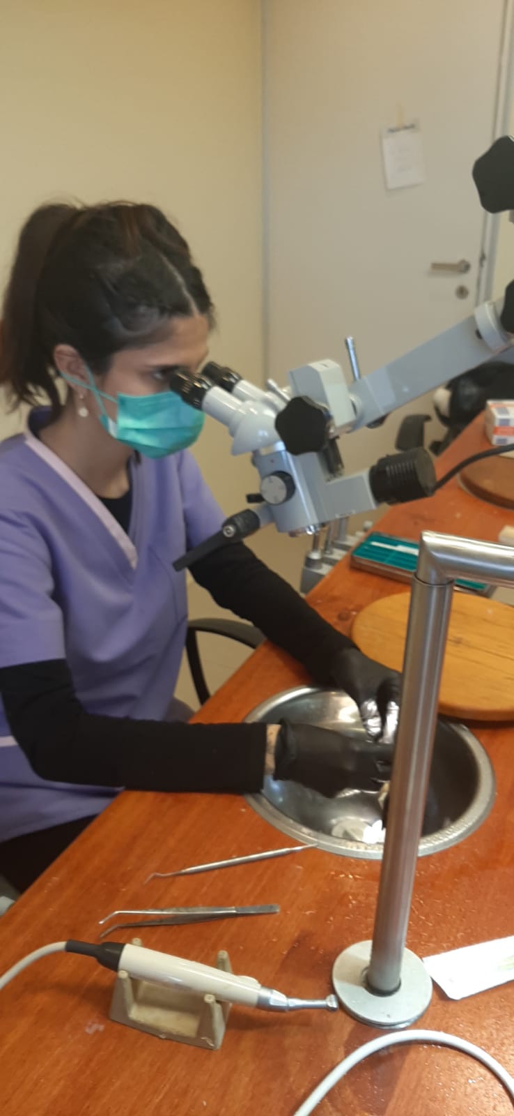 Curso de Formación Clínica en Endodoncia en Córdoba